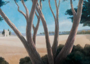 Pinos cerca de Pienza, 2012